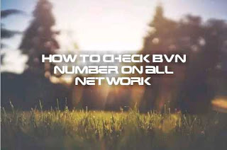 Easy ways to check your BVN using your phone 3