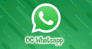 Latest OG Whatsapp free download | OGwhatsapp v2.19.17 2024 4