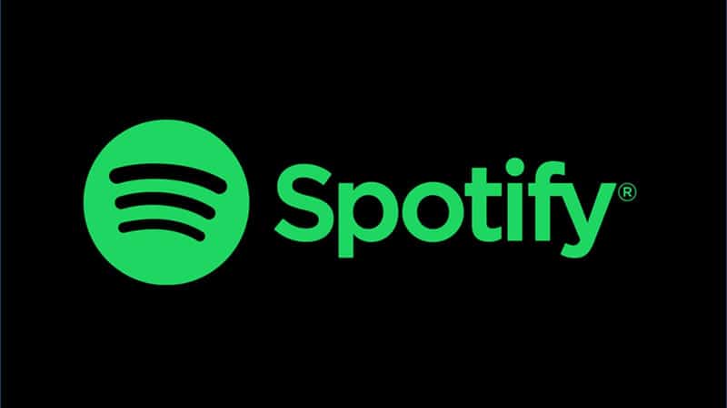 Download music from Spotify